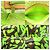 Borsa Tote Neverfull GM da donna Louis Vuitton Verde - vista 10