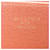 Louis Vuitton Monogram Brown Zippy Wallet Braun - Ansicht 6