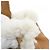 Borsa Christian Dior Toujours Medium Beige - vista 6