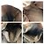 Bolso Tote de lona GG y cuero Gucci Castaño Beige - vista 6