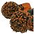 Sciarpa Vivienne Westwood in lana a righe Arancione - vista 6