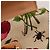Bolsa de alça Gucci Bamboo Floral Print Canvas and Leather Marrom Rosa Vermelho Azul Bege Verde - vista 12