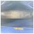 Prada Saffiano Double Bag Handtasche Medium Beige - Ansicht 12