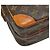 Bolso bandolera Louis Vuitton Monogram Amazon Castaño - vista 5