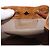 Zaino MCM Vicetos Logogram PVC Beige Oro Auth bs36277 D'oro - vista 18