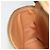 Céline CELINE Beauty Case Macadam in PVC e Pelle Marrone con Finiture Oro Autentico ep15314A - vista 19