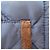 Chaqueta acolchada Ralph Lauren Sport Azul Azul marino - vista 11