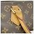Borsa Louis Vuitton Monogram Speedy 30 M41108 Marrone - vista 7