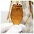 Borsa Tote Louis Vuitton Damier Azur Totally PM Bianco - vista 5