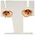 Orecchini a lobo Open Heart in oro rosa Tiffany & Co. D'oro - vista 5
