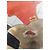 Autre Marque CALAMEX Cowboy-Stiefel Dunkelblau Eidechsenleder Schwarz - Ansicht 4