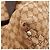 Borsa Tote in tela monogram Gucci Marrone Beige - vista 11
