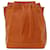 Borsa a secchiello Epi Noe Louis Vuitton Marrone