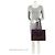 Tote Giant Monogram Empreinte Onthego MM Louis Vuitton Marrone - vista 5
