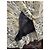 Pennyblack Falda Larga Plisada Estampada Beige Gris - vista 8