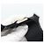 Borsa a Spalla PRADA Nylon Nero Argento Auth hk4001 - vista 10