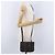 Pequin Borsa a Spalla FENDI Pecan Canvas PVC Nero Marrone Auth kk691 - vista 26