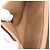 Céline Borsa a Spalla CELINE Macadam Canvas PVC Beige Oro Autentica 193532 D'oro - vista 21