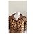 Chaqueta corta Dolce & Gabbana con estampado de leopardo Castaño - vista 5