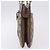 Borsa a tracolla GUCCI GG Supreme PVC Beige Oro Auth ki6747 D'oro - vista 3