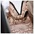 Borsa Christian Dior in pelle nera argento Auth ka5389M Nero - vista 21