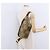 Borsa a tracolla GUCCI GG Canvas Beige Oro 696031 Auth mr2675A D'oro - vista 20