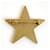 Spilla Chanel Coco Mark Star D'oro  - vista 2