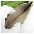 Portafoglio con catena MCM Diamond MYLEAAK01 Verde chiaro - vista 5