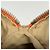 Borsa Christian Dior motivo Trotter Beige Arancione - vista 12