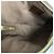 Borsa a tracolla Louis Vuitton Damier Geronimos Damier ebene - vista 4