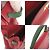 Hermès Borsa Hermes Kelly 32 in Rouge Vif e Vert Rosso Verde chiaro - vista 10