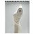 Autre Marque Bustier blanco ST. AGNI - vista 4
