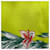 Silk In Hermès Sciarpa Hermes con motivo floreale e cavallo Bianco Multicolore Verde - vista 3