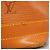 Borsa a Spalla Louis Vuitton Epi Noe D'oro - vista 11