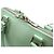 Borsa Louis Vuitton Epi Electric Alma PM Verde - vista 6