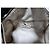 Borsa Boston GUCCI GG Canvas Media Beige/Marrone - vista 16