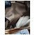 Céline Celine Vintage Macadam Hobo Schultertasche Beige/Braun - Ansicht 10