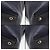 Chanel Borsa a tracolla Navy Caviar House and Carry Gold-tone Blu - vista 12