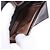 FENDI Zucca Canvas Bifold Wallet Black Brown Auth bs36409 - view 17