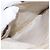 LOUIS VUITTON Borsa Suhari Rock It PM Bianca M91887 LV Auth 195302 Bianco - vista 26