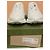 Gucci GG Supreme Fabric Sneakers White - view 9