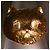 Autre Marque 18K Gelbgold-Ring mit Katzenauge und Diamant Golden - Ansicht 3