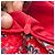 Ba&Sh Galvin Midi-Kleid mit Blumenprint in Rot aus Polyester - Ansicht 6