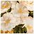 Sciarpa in seta Chanel Gold Camellia Baroque D'oro - vista 5