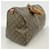 Louis Vuitton Marrone Boston Monogram Keepall 45 - vista 2