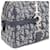 Dior Borsa Tote e Borsa a Spalla Oblique D-Ring Blu - vista 6