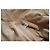 Moncler Amaran Giacca a Vento con Cappuccio in Nylon - Beige - vista 6