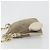 Borsa a tracolla PRADA in tela beige e oro Auth 193355 D'oro - vista 5