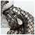 Borsa a Spalla BOTTEGA VENETA INTRECCIATO in Pelle Argento Auth 194742V - vista 15