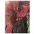 Gianni Versace Versace Jacke rot T.34 - Ansicht 8